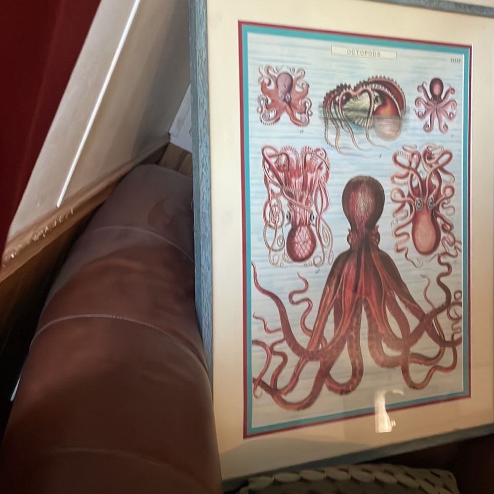 Picture - Picture 3 of 3